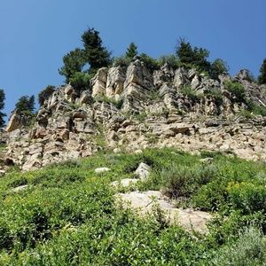 Meet your Posher, Clarissa